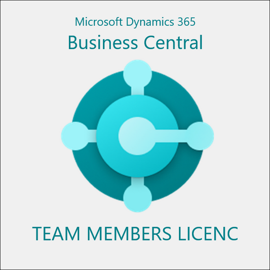 Dynamics 365 Business Central Team Members licenc havi